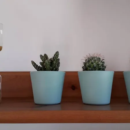 Charming Townhouse 펜션 *